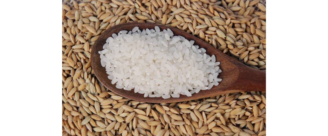 ICM suspende três operadores de importação de arroz e trigo por “violação de procedimentos”
