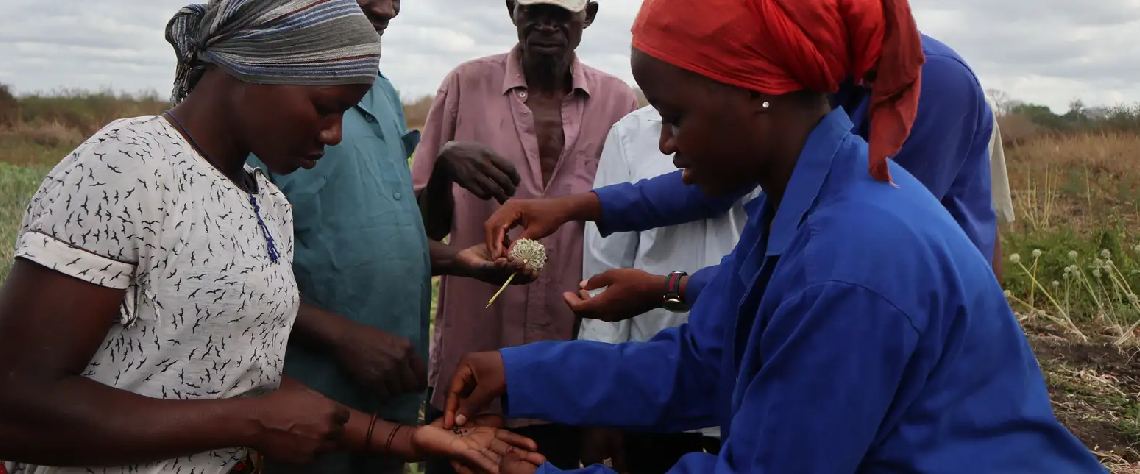 AFD e Fundação Aga Khan desembolsam 6,3 milhões de Euros para combater violência de género em Cabo Delgado