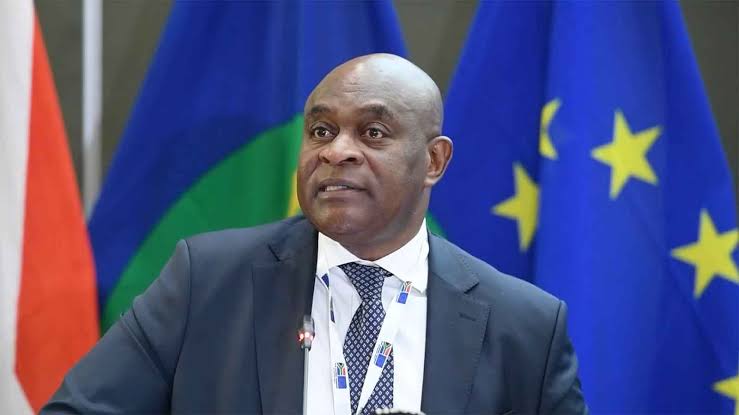 Repatriamento de “indocumentados”: África do Sul exige ao Malawi, Nigéria e Etiópia o reembolso de 300 milhões de Rands